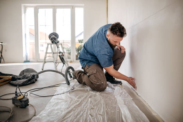 Best Drywall Crack Repair  in Shafer, MN